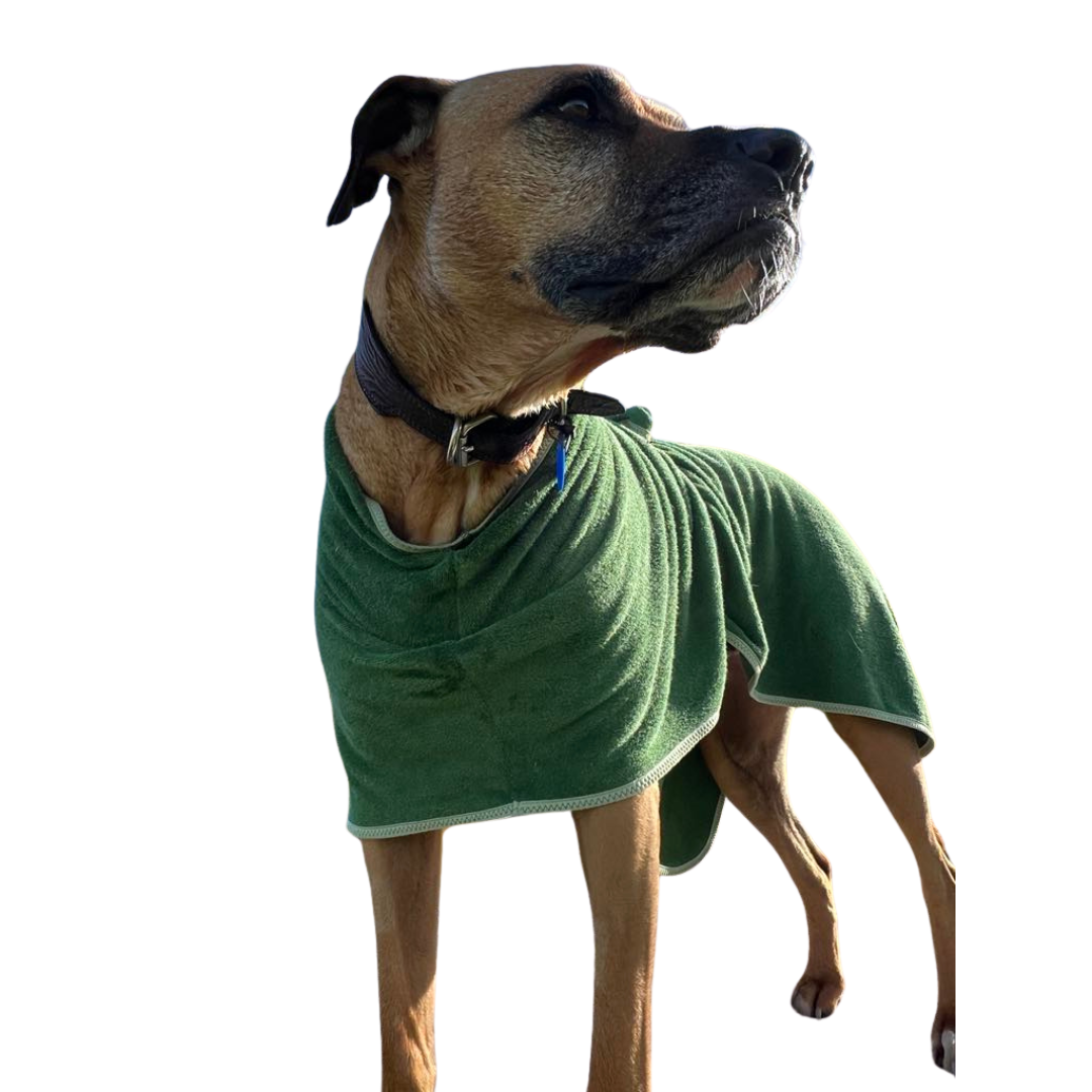 Dog Gift Bundle -includes dog bathrobe and floating stick