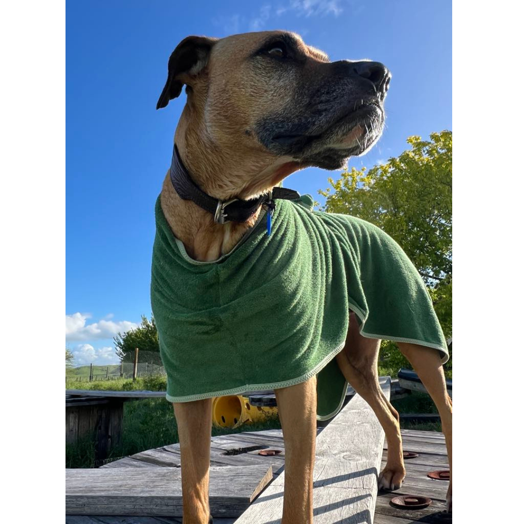 Dog Gift Bundle -includes dog bathrobe and floating stick