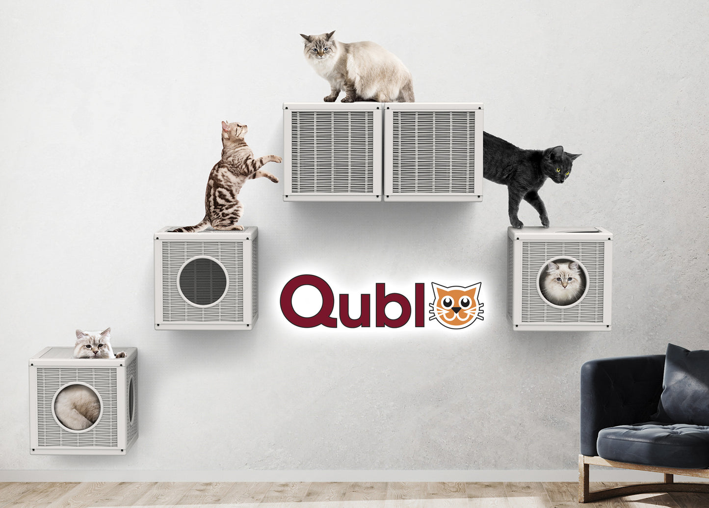Würfel Qublo