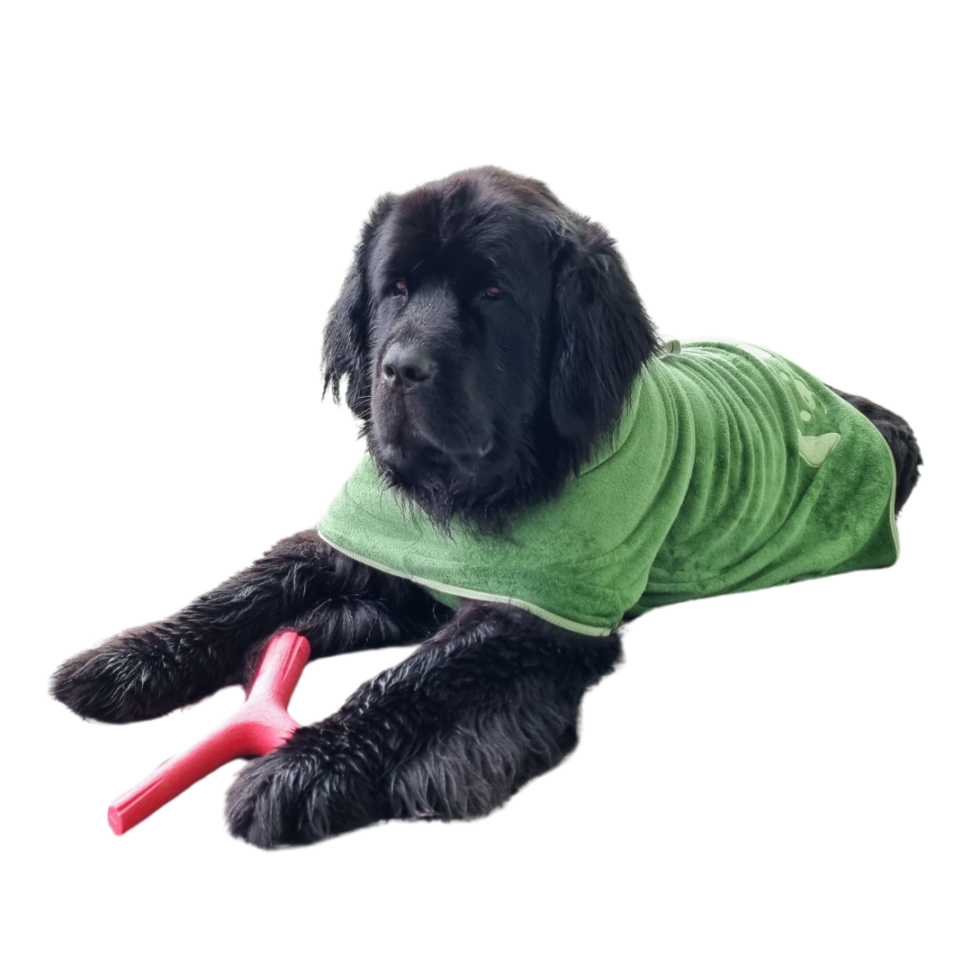 Dog Gift Bundle -includes dog bathrobe and floating stick