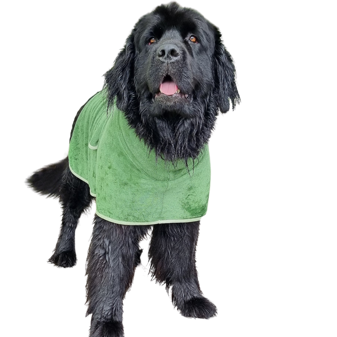 Dog Gift Bundle -includes dog bathrobe and floating stick