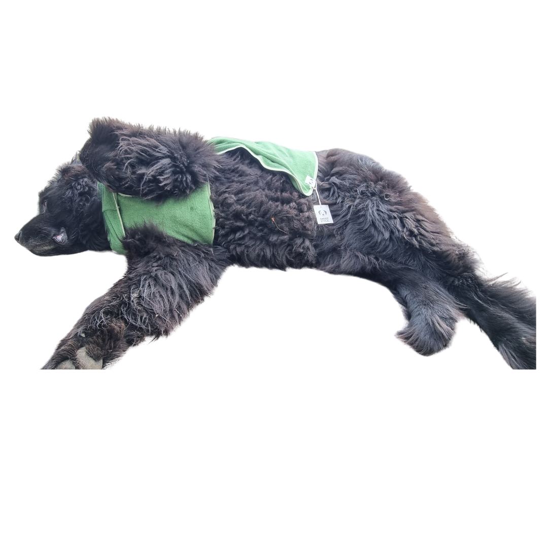 Dog Gift Bundle -includes dog bathrobe and floating stick