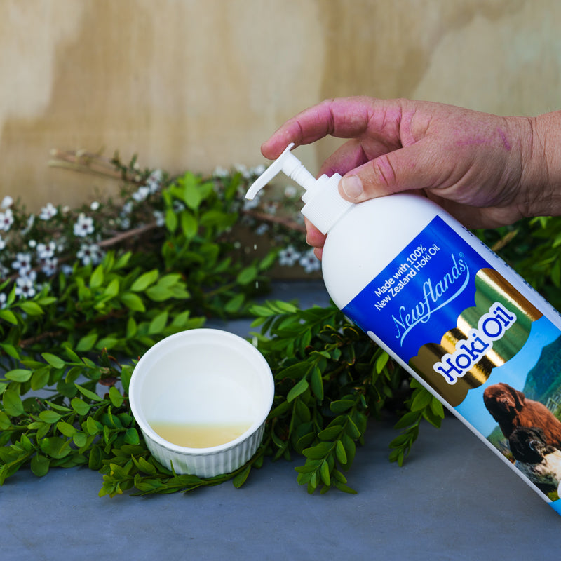 Is Hoki Oil Enough on Its Own? What Your Dog Actually Needs