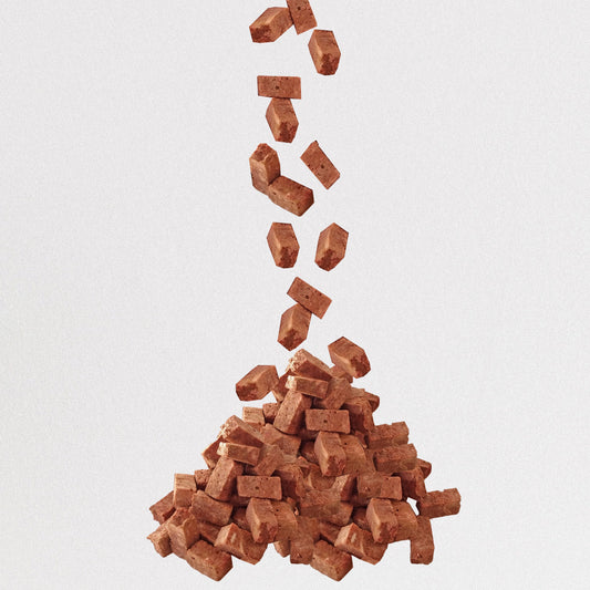 Can Food Really Act as Medicine for Your Pet?