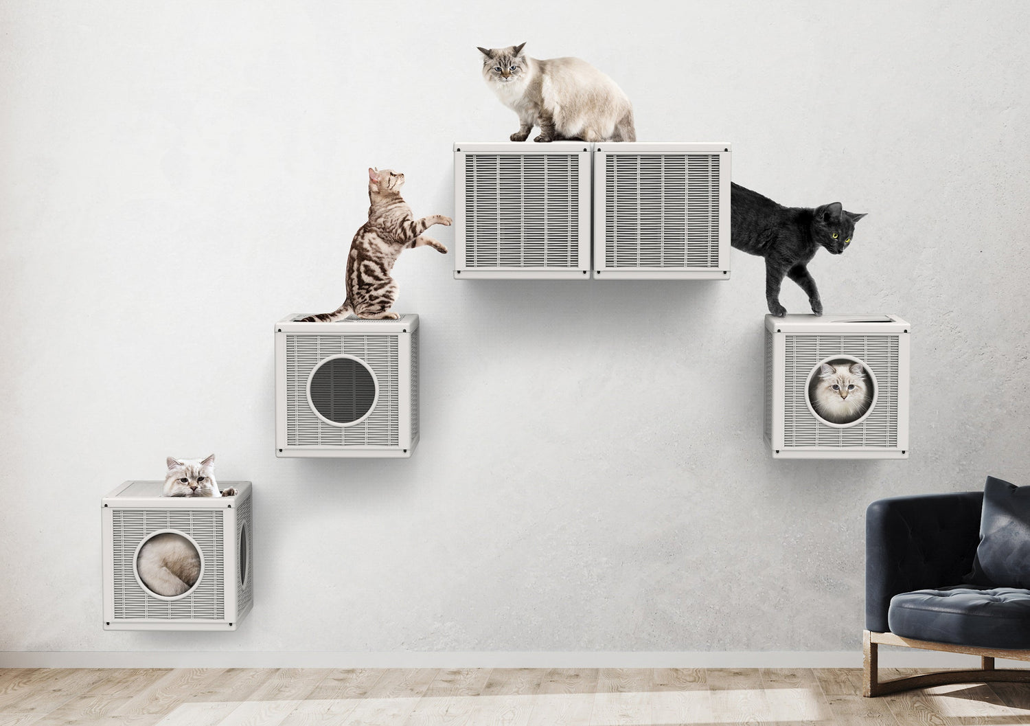 Toys, Furniture and Accessories