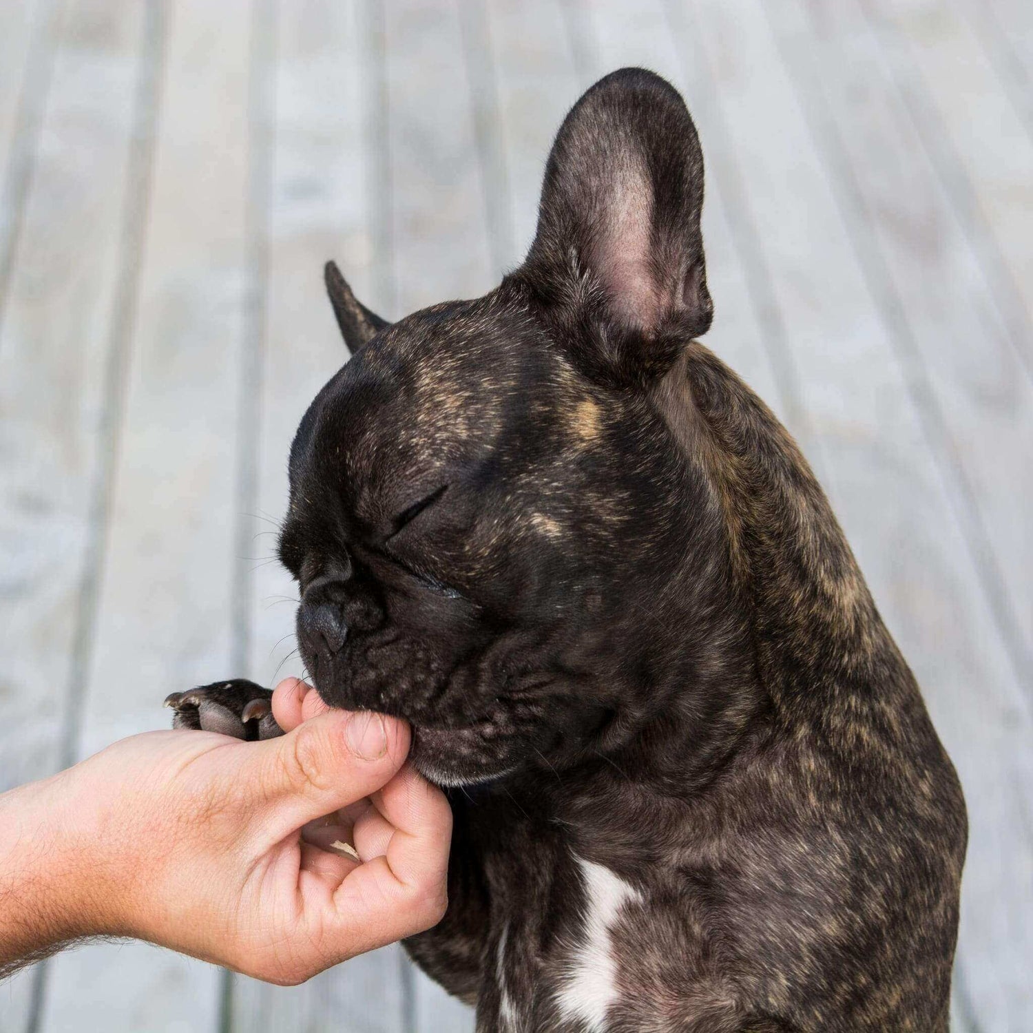 Treats