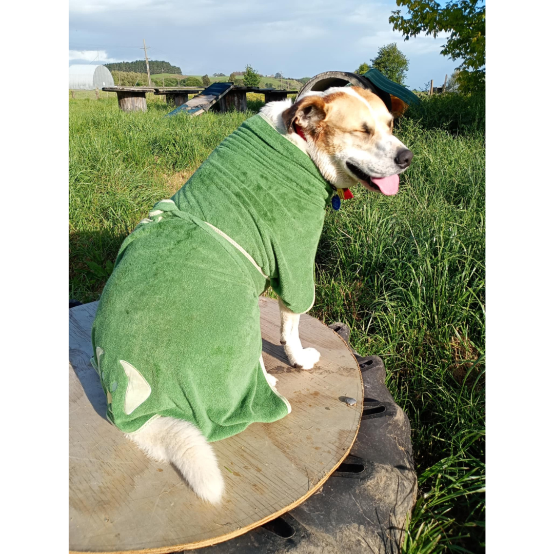 Pet Bathrobe