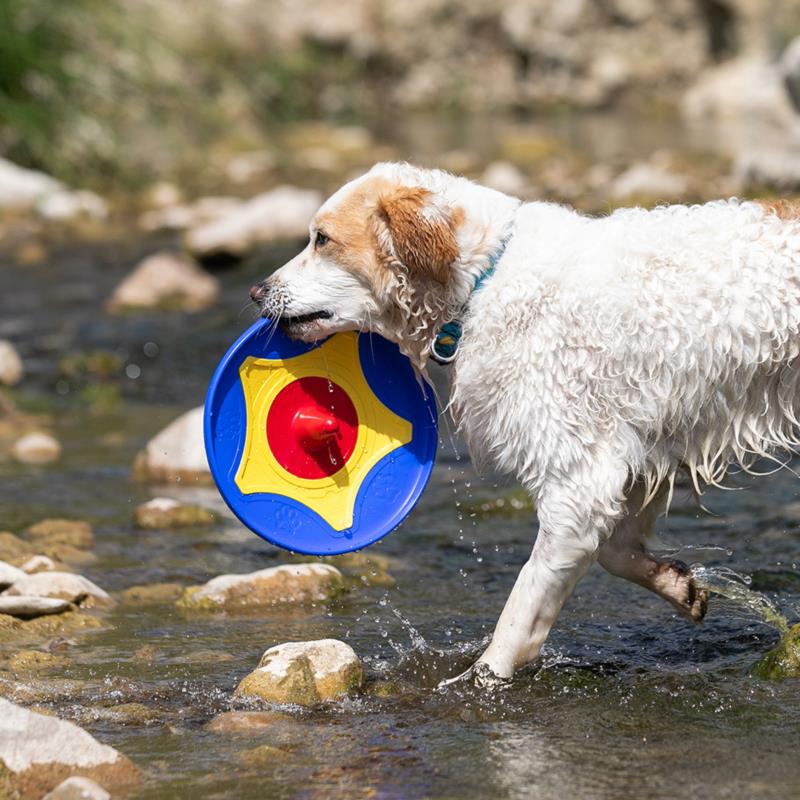 Frisbee