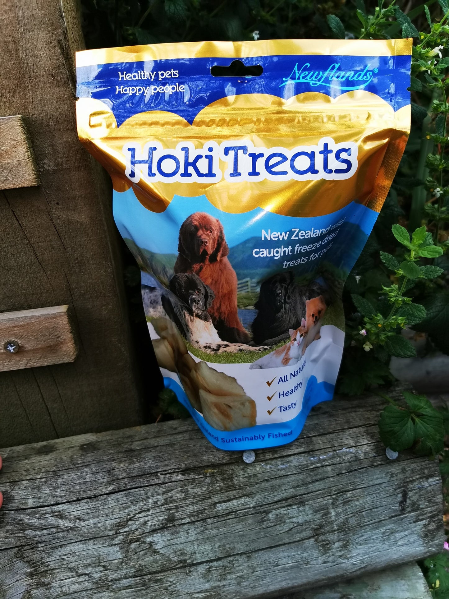 Hoki Treats