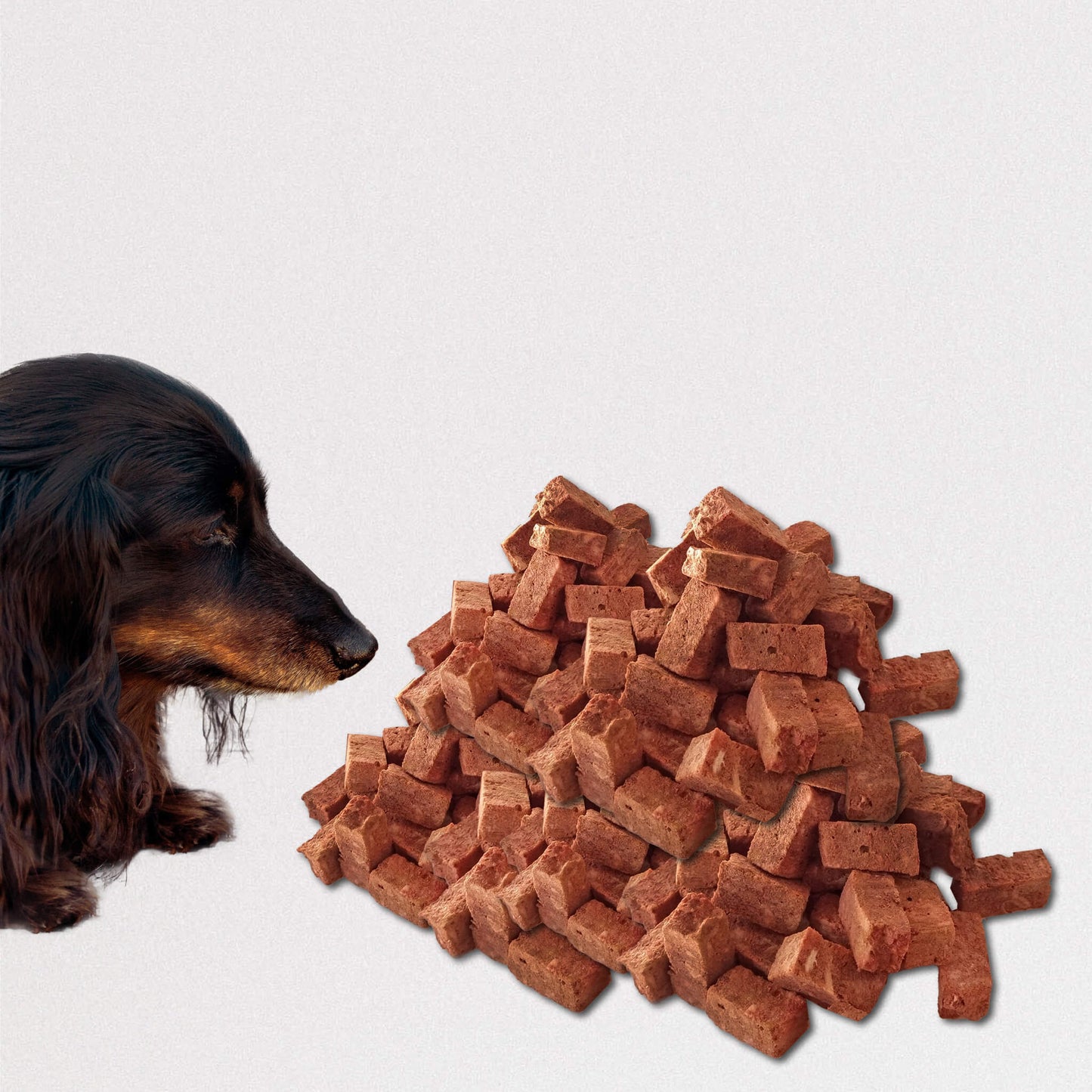 Health Treats for Dogs and Cats
