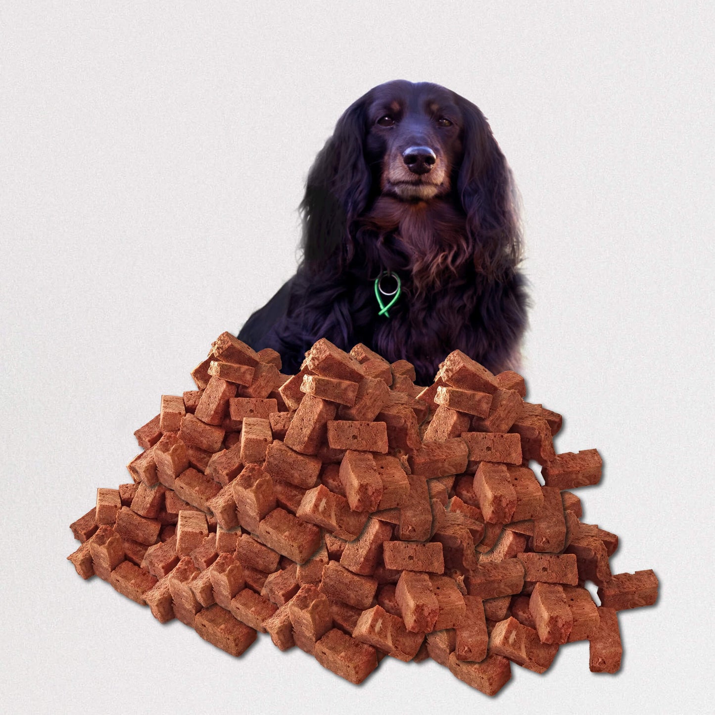Health Treats for Dogs and Cats