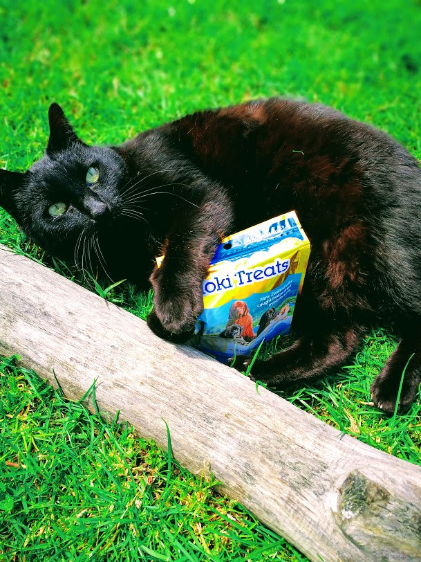 Hoki Fish Treats for Cats and Dogs