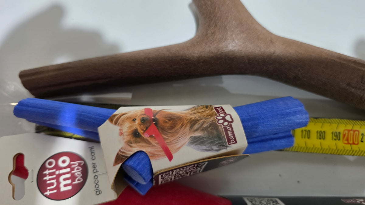Packaged and unpackaged red, brown, and blue Bama floating stick dog toys arranged on a white surface next to a yellow tape measure demonstrating size differences across small, medium, and large variants.