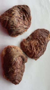 Freeze-Dried Sheep Spleen Treats for Dogs & Cats